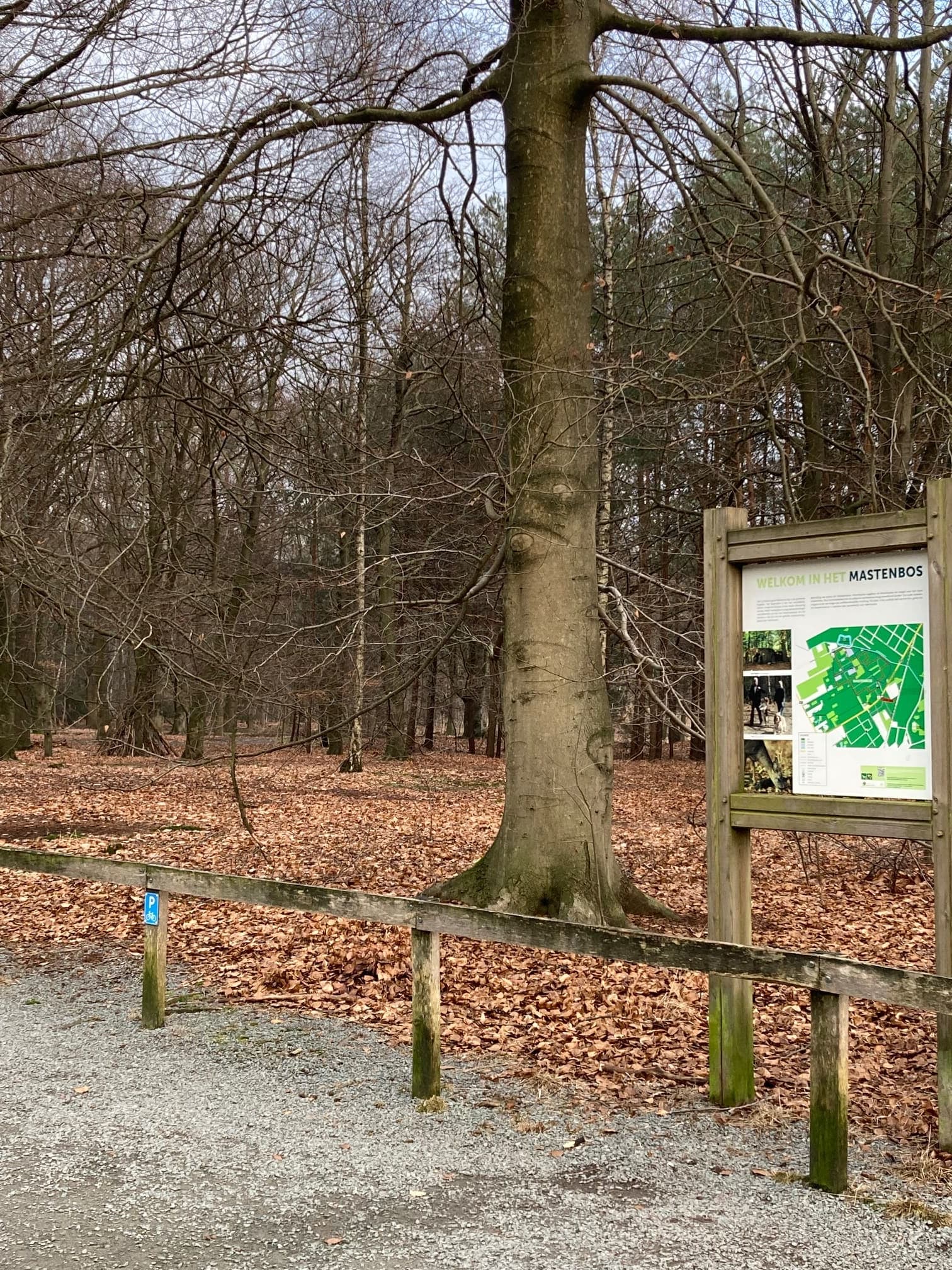 Kapellen — sfeerbeeld 1