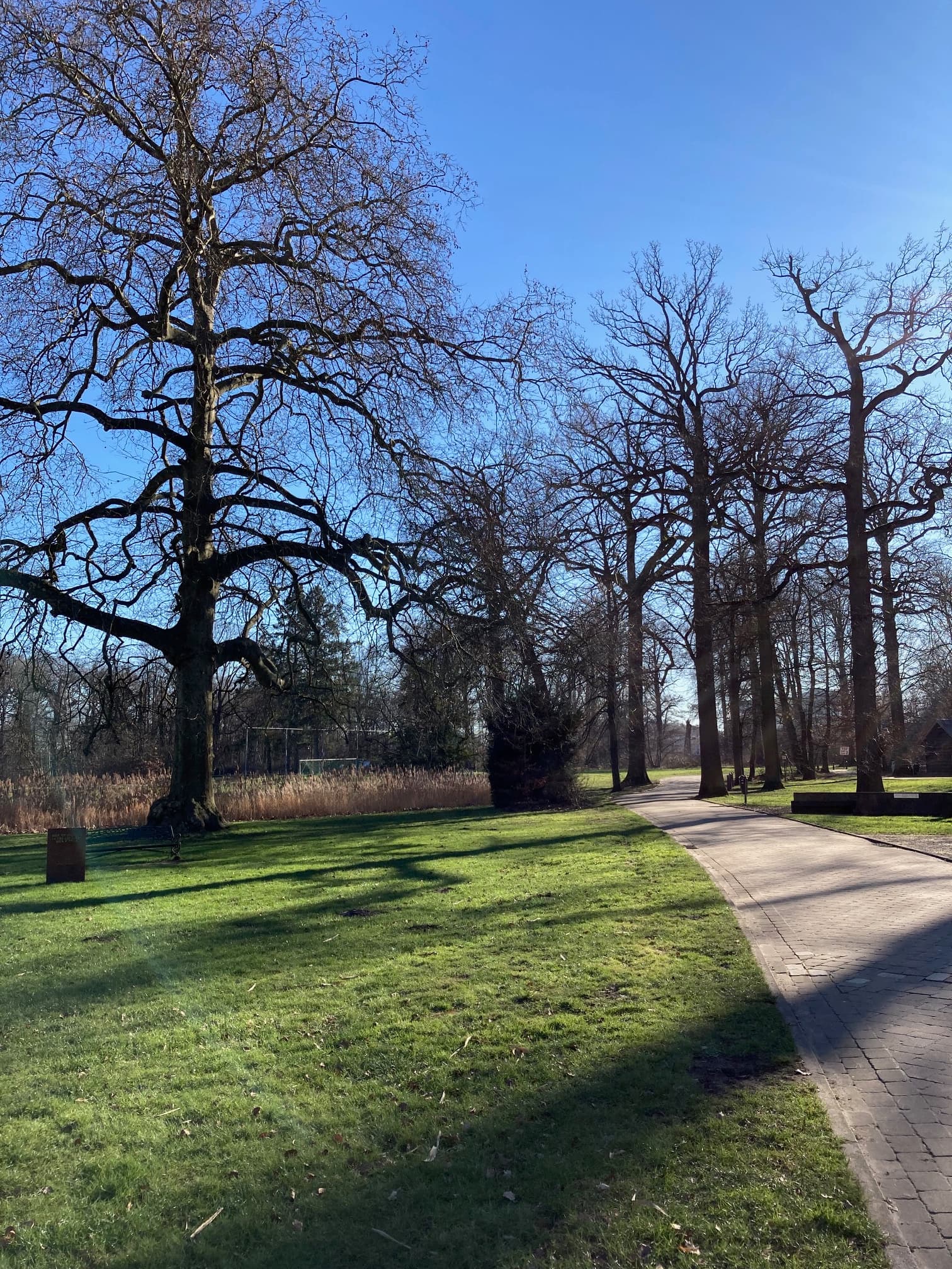 Schoten — sfeerbeeld 1