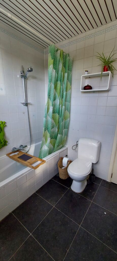 badkamer rijhuis te koop antwerpen