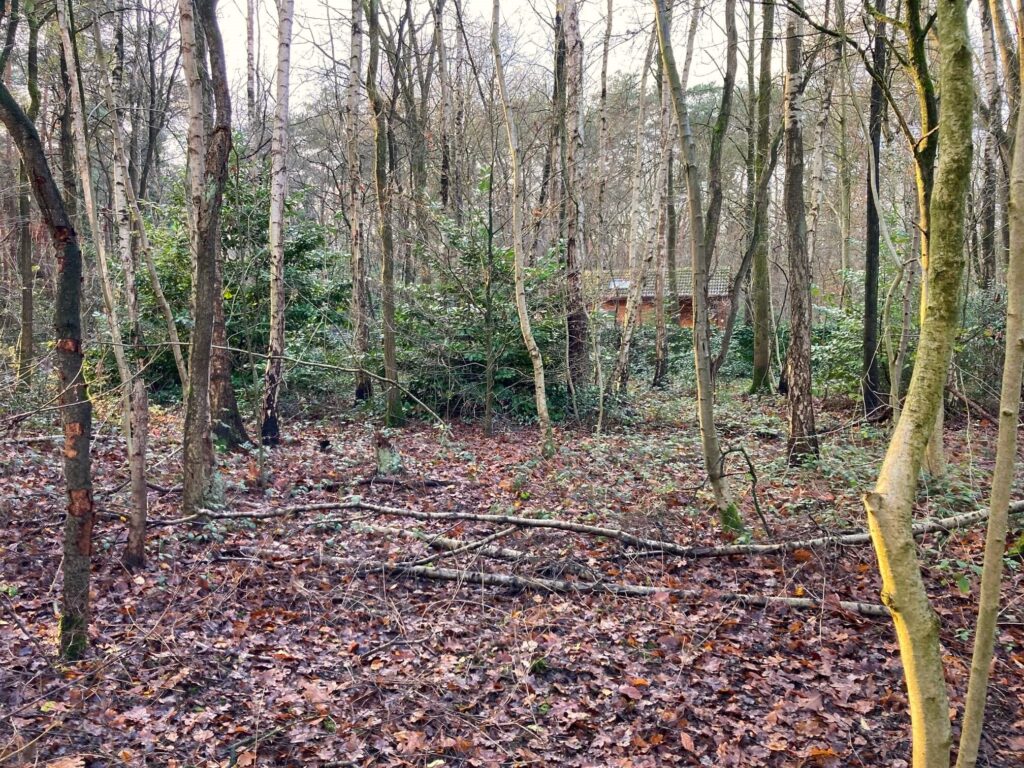 Hazenpad Essen foto 3 bouwgrond te koop Wildert