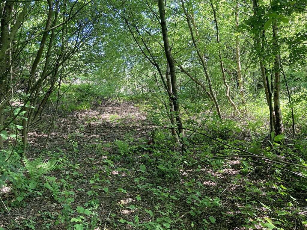 bouwgrond te koop Brasschaat breed perceel grond te koop Brasschaat breed perceel