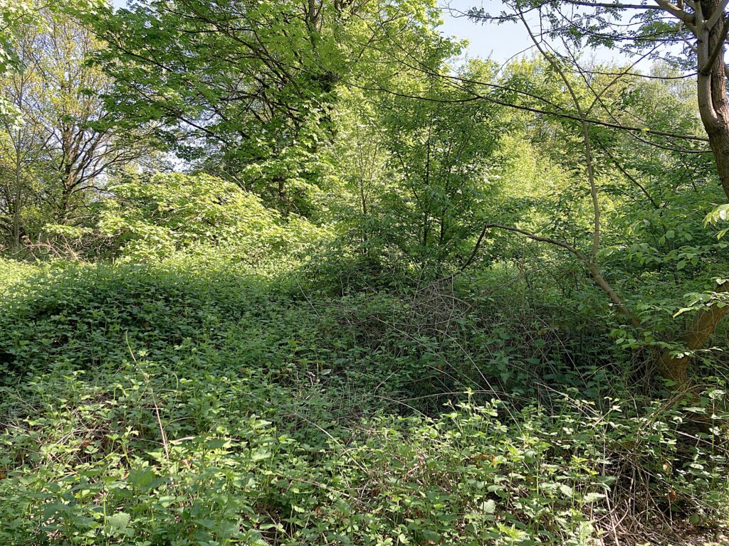 bouwgrond te koop Brasschaat 15 m breed grond te koop Brasschaat 15 m breed